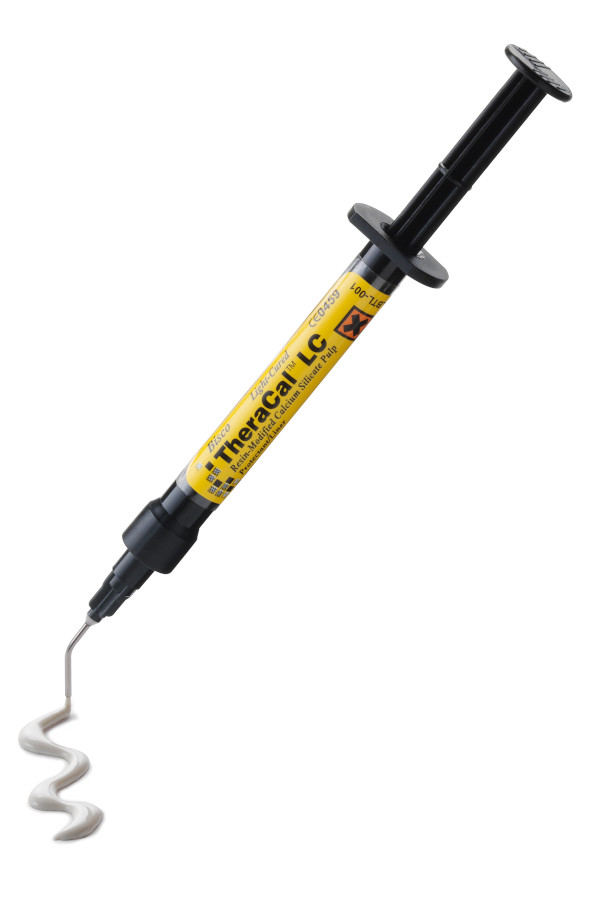 TheraCal LC