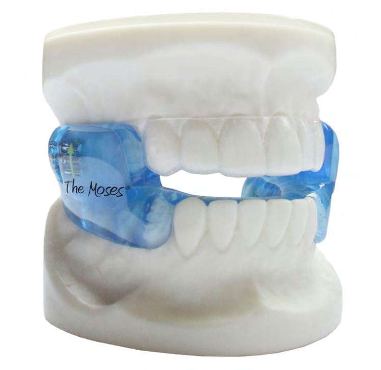 MODERN DENTAL LAB USA THE MOSES Modern Dental Laboratory